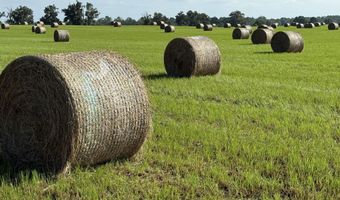 72 Nw Pl, Bell, FL 32619