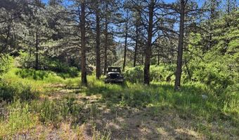 Spiritwood Ln, Bellvue, CO 80512