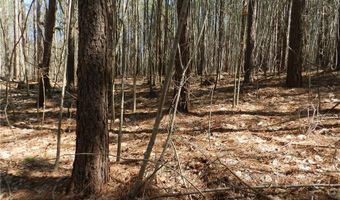 Tbd Oakland Avenue, Asheboro, NC 27205