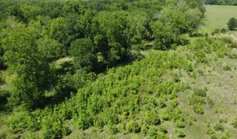 Green Road, Arnaudville, LA 70512