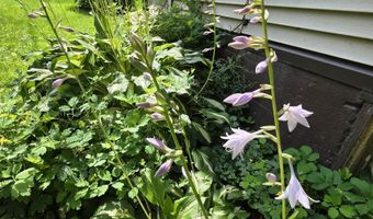 98 Merchant St, Barre, VT 05641