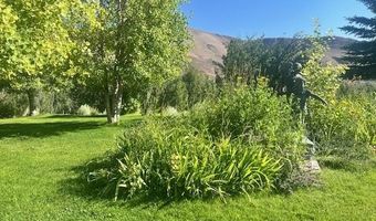 1321 Garden Creek Rd, Challis, ID 83226