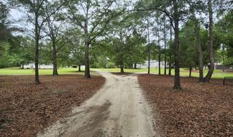 786 Blackberry Rd, Baconton, GA 31716