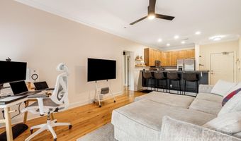175 S Lexington Ave, Asheville, NC 28801