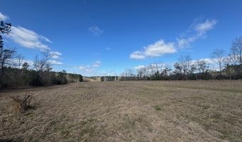 1111 Mount Olive Rd SE, Bogue Chitto, MS 39629