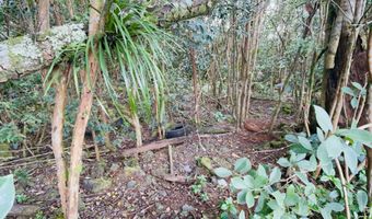 16 TH Ave, Keaau, HI 96749