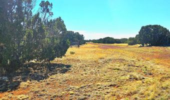 20 CO Rd, Concho, AZ 85924