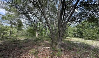 80 AC Old River Rd, Baker, FL 32531