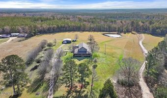766 Pinola Braxton Rd, Braxton, MS 39044