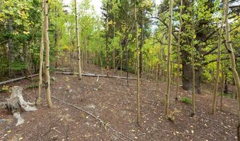 452 QUARTZVILLE Rd, Alma, CO 80420