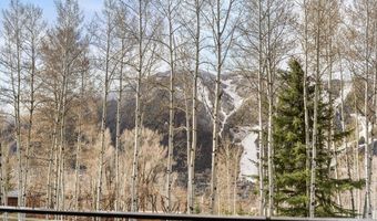323 E Reds Rd, Aspen, CO 81611