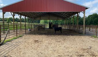 2665 Mt. Carmel Rd, Altoona, AL 35952