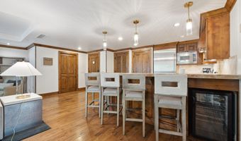 415 E Dean St Unit 17 Weeks 5 & 6 St, Aspen, CO 81611