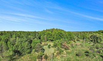 15252 27 Mile Rd, Albion, MI 49224