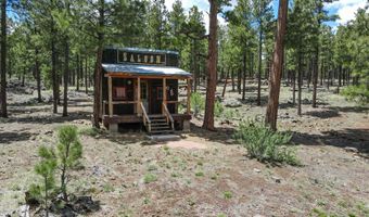 1048 N Forest Ln, Greer, AZ 85927