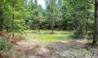 Lot 1-A Daniels Lane, Bennettsville, SC 29512