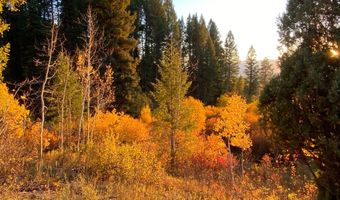 400 GROVER DRY FARM Rd, Afton, WY 83110