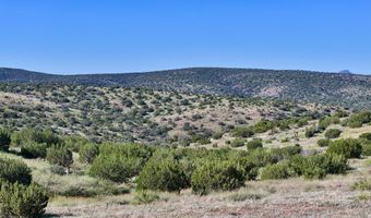 TR 111 Sierra La Rana, Alpine, TX 79830