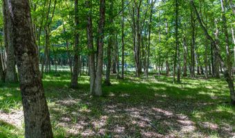 Mountain Road, Albrightsville, PA 18210