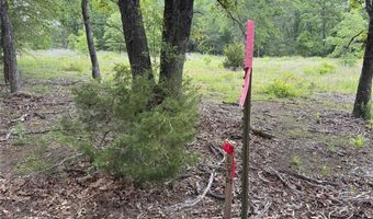 Lot 25 Rains County Road 2610, Alba, TX 75410