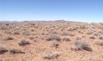 308-22 395 N Palo Verde Dr, Chloride, AZ 86431
