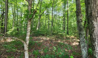 20 Bluff View Loop, Allardt, TN 38504
