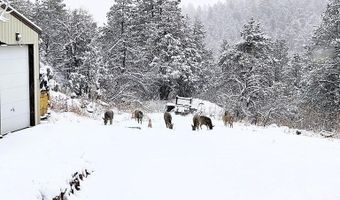 8425 State HWY 78, Beulah, CO 81023