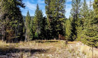 201 Tripod Vw, Cascade, ID 83611