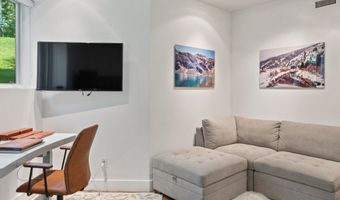 257 Mountain Laurel Dr, Aspen, CO 81611