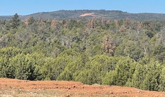 1751 Forest Service Rd 163, Clay Springs, AZ 85923