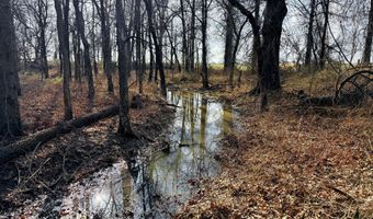 0001 CR-290, Asbury, MO 64832
