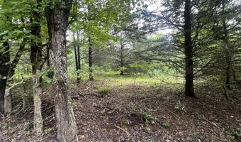 0 Co Rd 521, Anderson, AL 35610
