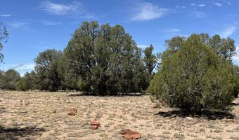 21 Off Of Cooks Trl, Ash Fork, AZ 86320