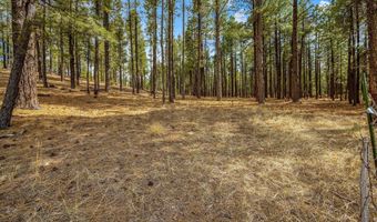 Tbd CR2325, Alpine, AZ 85920