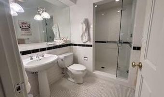 229 W Hallam St, Aspen, CO 81611