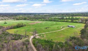 435 Sneadview Rd, Altoona, AL 35952