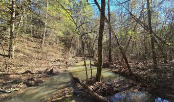 TBD Raw Land, Bates, AR 72958