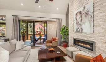 102 Wild Spring Ln, Basalt, CO 81621