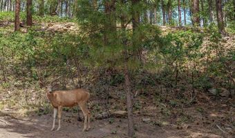 35 Blue Ridge Cir, Bayfield, CO 81122