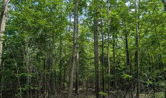 W Long Lake Road, Alpena, MI 49707