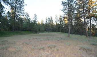 120 Acres Anatone, Anatone, WA 99401