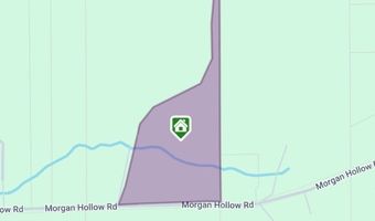 3090 Morgan Hollow Rd, Allegany, NY 14706