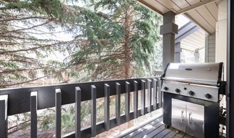 185 Willis Pl 206, Avon, CO 81620