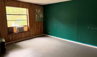 24021 ARMADILLO Rd, Astor, FL 32102