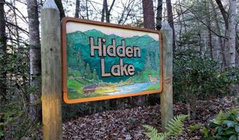 565 Hidden Lake Dr, Cherry Log, GA 30522