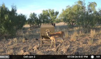 County Road 239, Afton, TX 79220