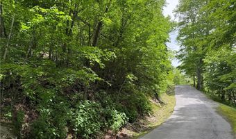 Tbd Wakeman Way, Banner Elk, NC 28604