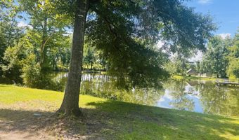 1042 Lake Cadeli Rd, Bartow, GA 30413