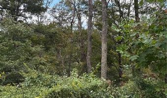 Tdb Nettles Ridge Road, Banner Elk, NC 28604