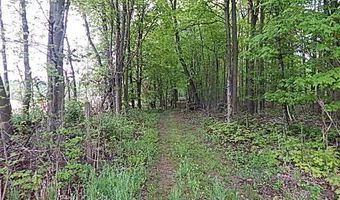15250 27 Mile Rd, Albion, MI 49224
